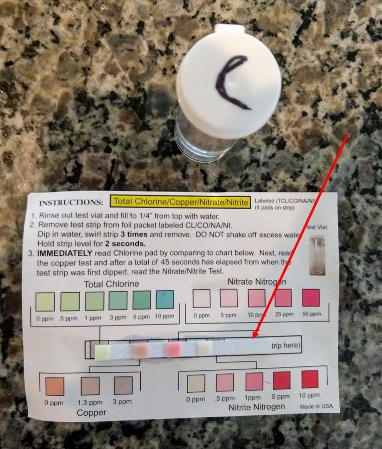 Can You Drink Rainwater A Science Experiment for Kids